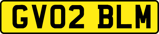 GV02BLM