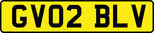 GV02BLV