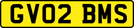 GV02BMS