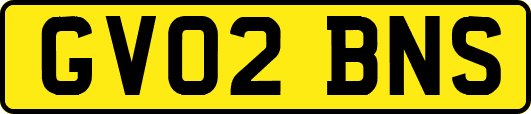 GV02BNS
