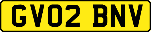 GV02BNV