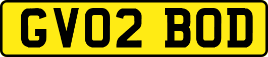 GV02BOD