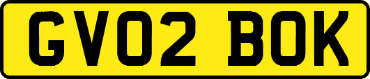 GV02BOK
