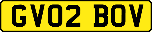 GV02BOV