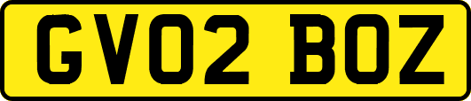 GV02BOZ
