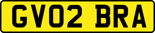 GV02BRA