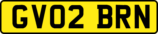 GV02BRN