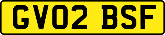 GV02BSF