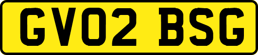 GV02BSG