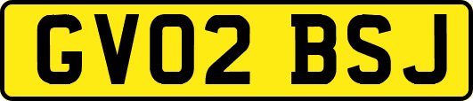 GV02BSJ
