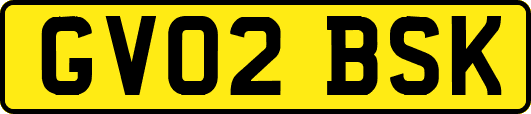 GV02BSK