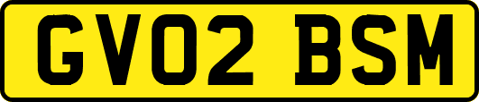 GV02BSM