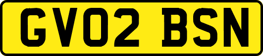 GV02BSN
