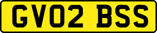 GV02BSS