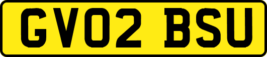 GV02BSU