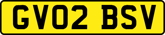 GV02BSV