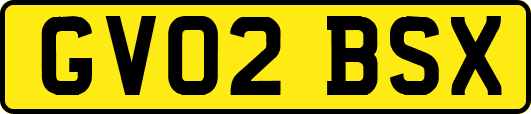 GV02BSX