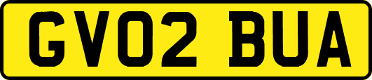 GV02BUA
