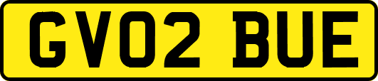 GV02BUE