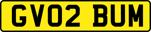 GV02BUM