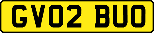 GV02BUO