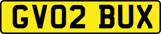 GV02BUX