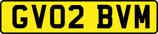 GV02BVM