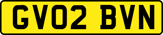 GV02BVN