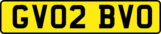 GV02BVO