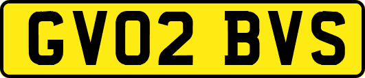 GV02BVS