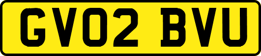 GV02BVU