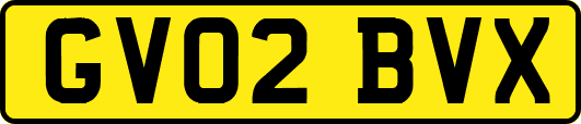 GV02BVX