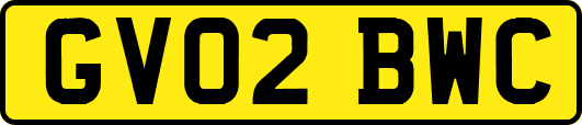 GV02BWC