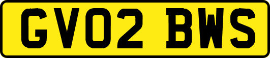 GV02BWS