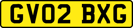 GV02BXG