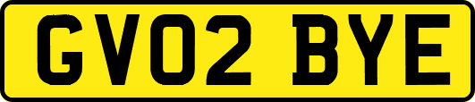 GV02BYE