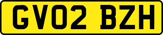 GV02BZH
