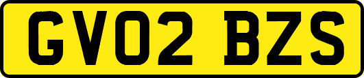 GV02BZS