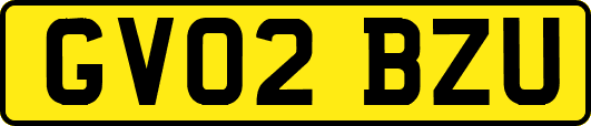 GV02BZU