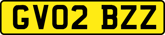 GV02BZZ