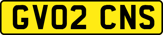 GV02CNS