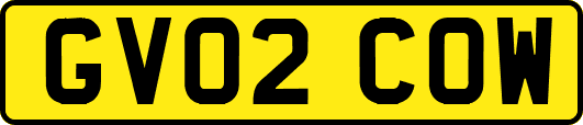 GV02COW