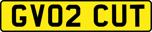 GV02CUT