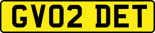 GV02DET