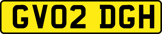GV02DGH