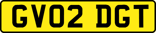 GV02DGT