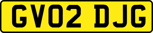 GV02DJG