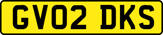 GV02DKS
