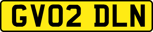 GV02DLN