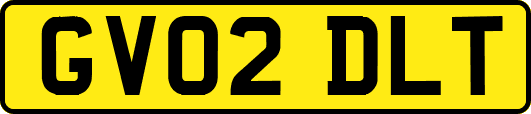 GV02DLT